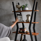 Cuba Shelf