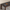 KADO DINING TABLE