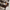 KADO DINING TABLE