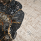 PETRIFIED WOOD CENTER TABLE