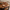 NALA DINING TABLE - ROUND