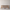 NAGI DINING TABLE