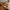 NALA DINING TABLE - ROUND