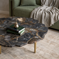 PETRIFIED WOOD CENTER TABLE
