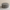 SHELL CENTER TABLE